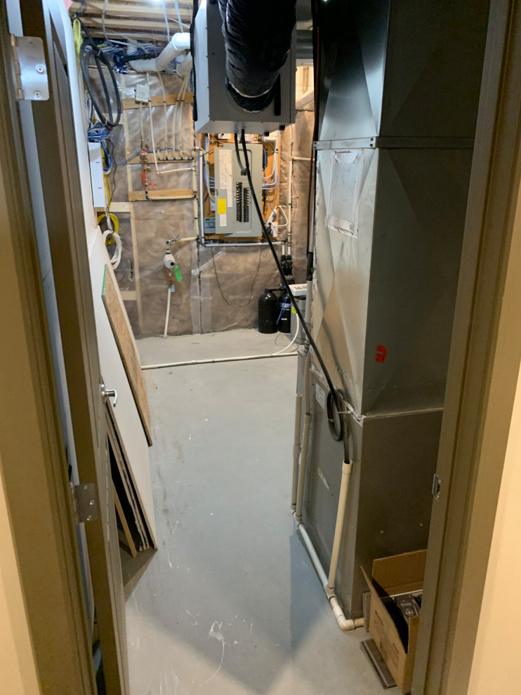 Basement Development