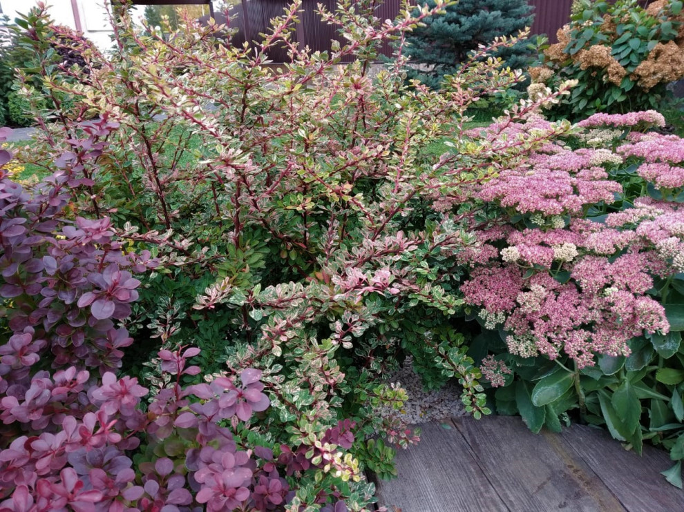 Внутренний дворик таунхауса