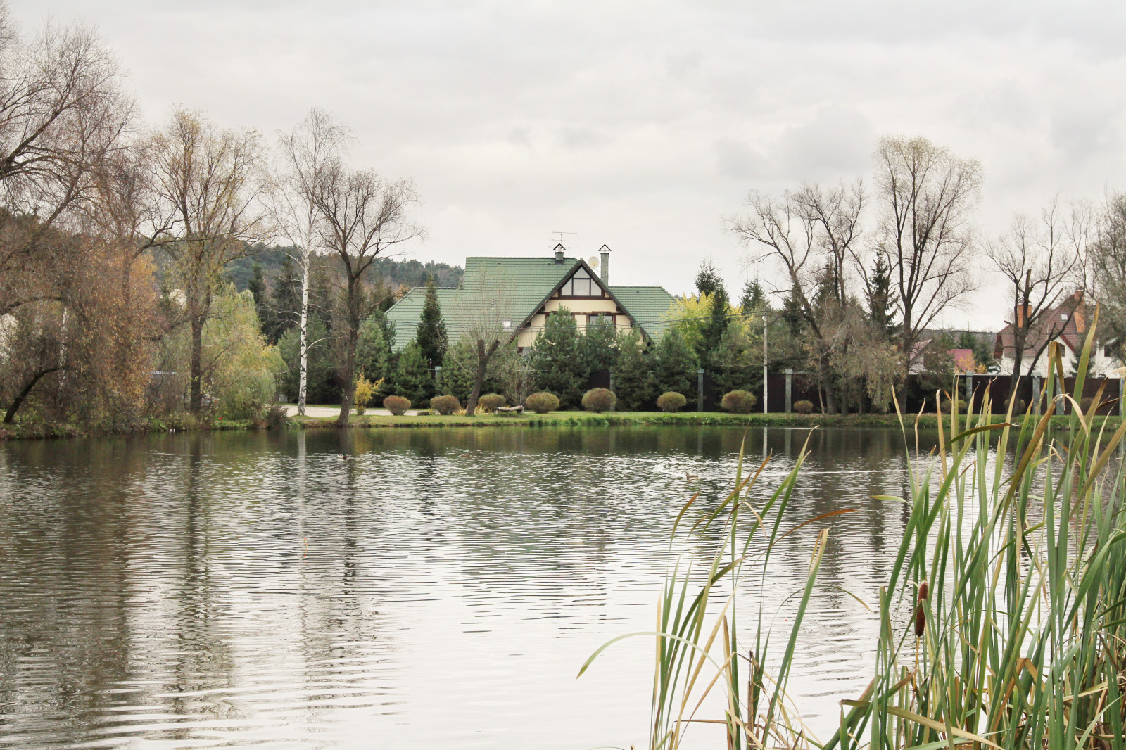 House on pond