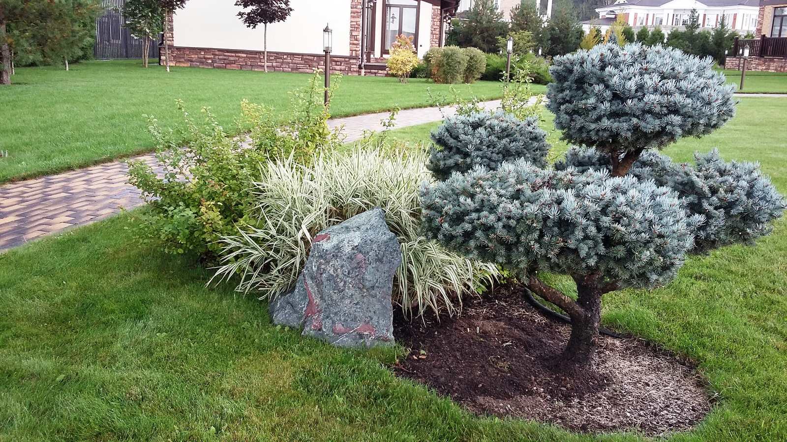 кп "Папушево" - Профессиональный уход за садом - 100% качество!