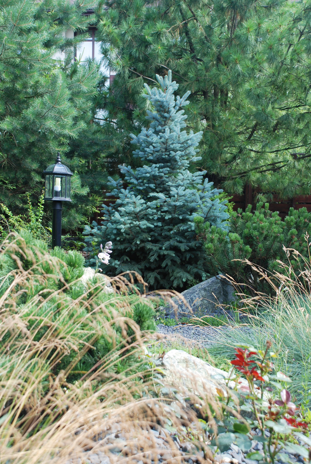 Променад. Киевское шоссе.