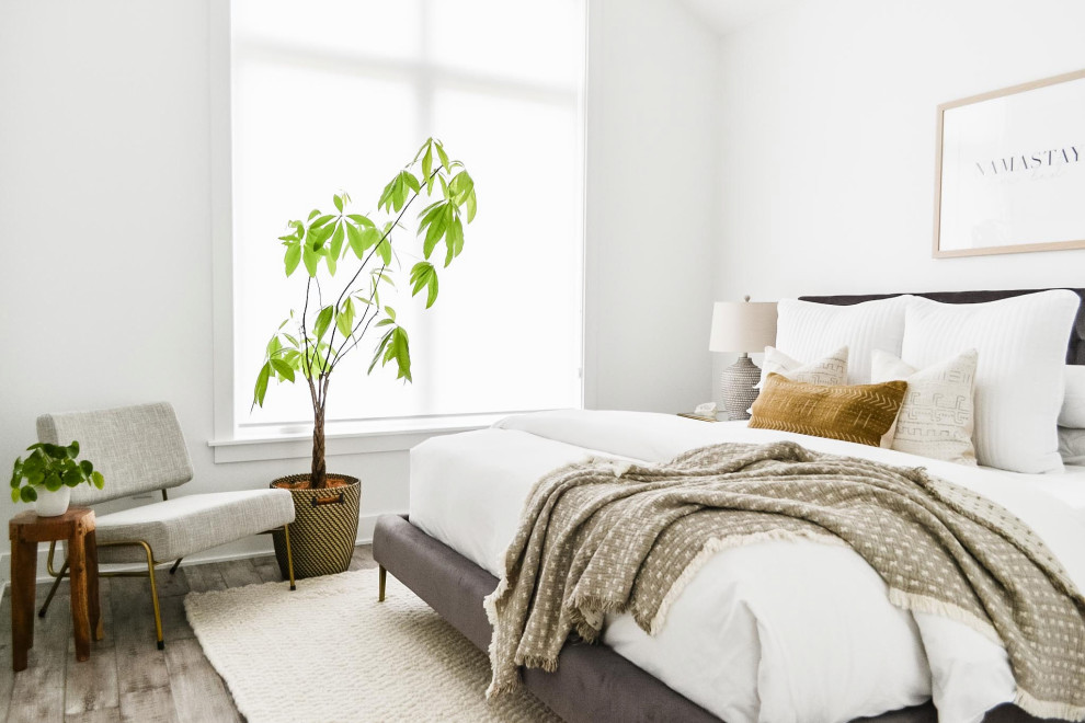 Design ideas for a modern guest bedroom in Indianapolis with white walls, laminate floors and grey floors.