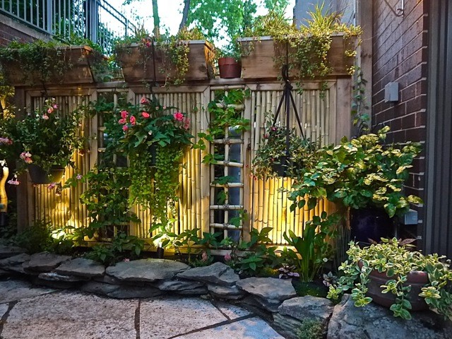 Asian style patio & garden - Asian - Landscape - Chicago 