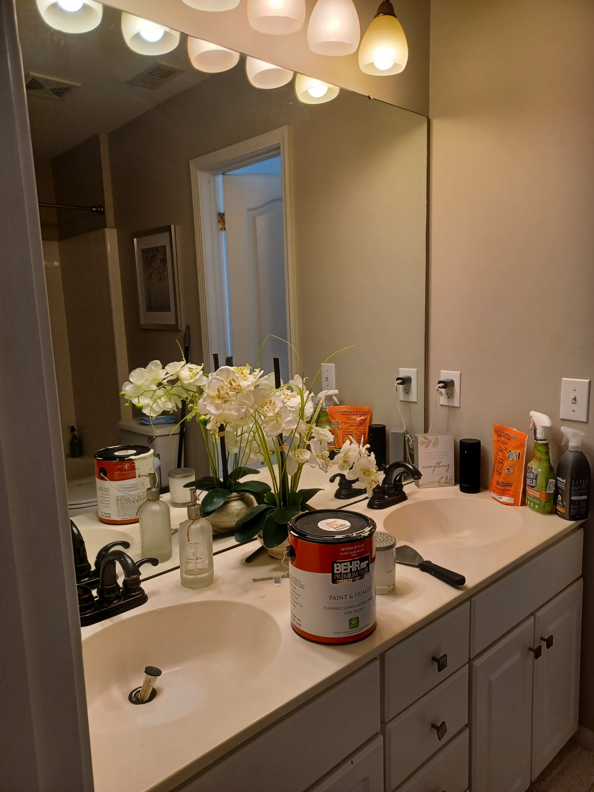 Mireya Bathroom Remodel