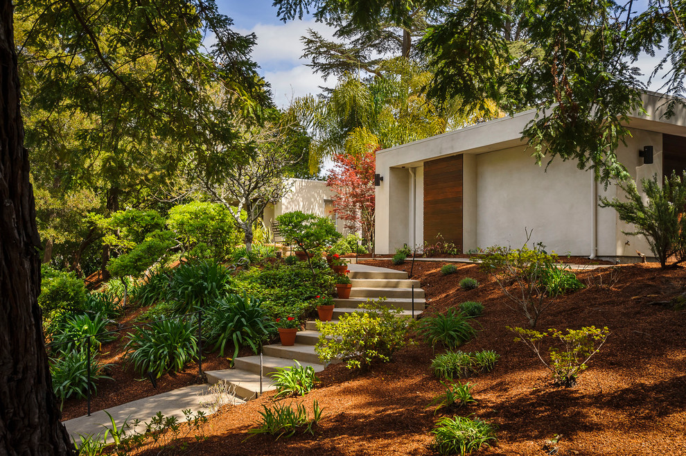 Design ideas for a contemporary sloped garden in San Francisco.