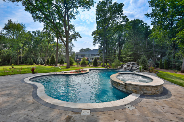 Naperville Il Freeform Swimming Pool With Raised Hot Tub Traditional