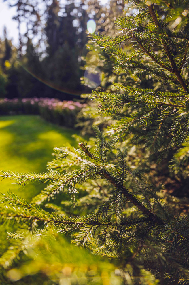 Архитектурное Решение в Пейзажном Стиле