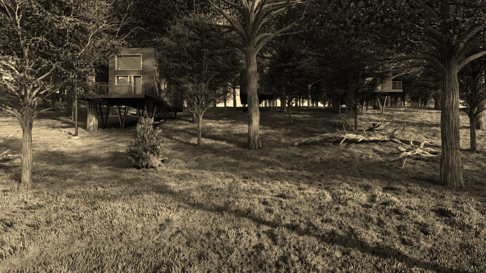 Small house in the country