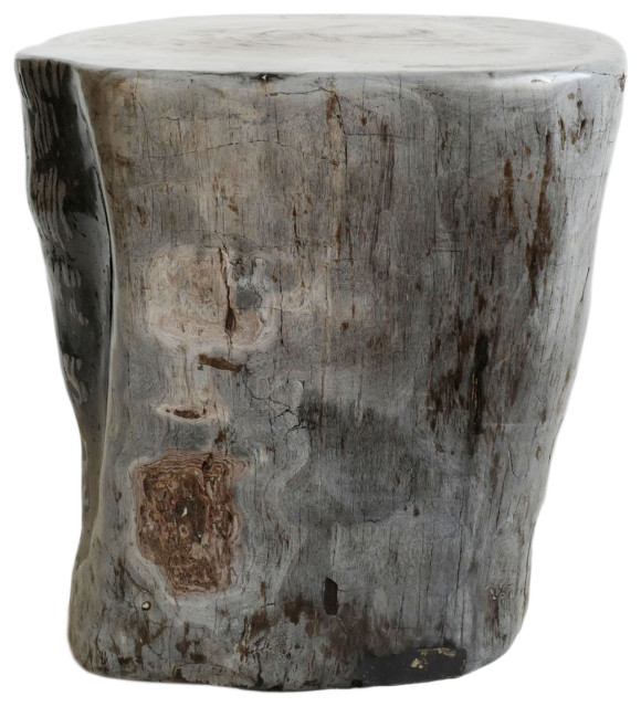Petrified Wood Stump Side Table Rustic Side Tables And End Tables