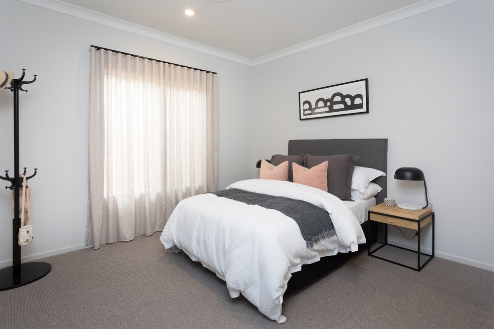 Design ideas for a contemporary guest bedroom in Brisbane with grey walls, carpet and grey floor.