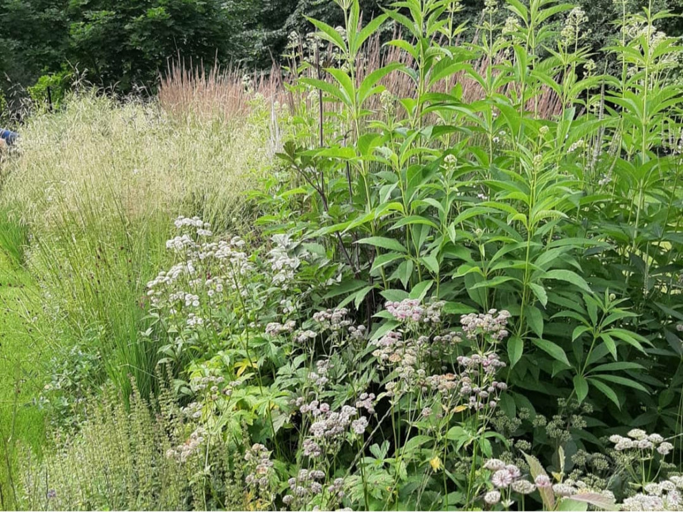 В духе ретро