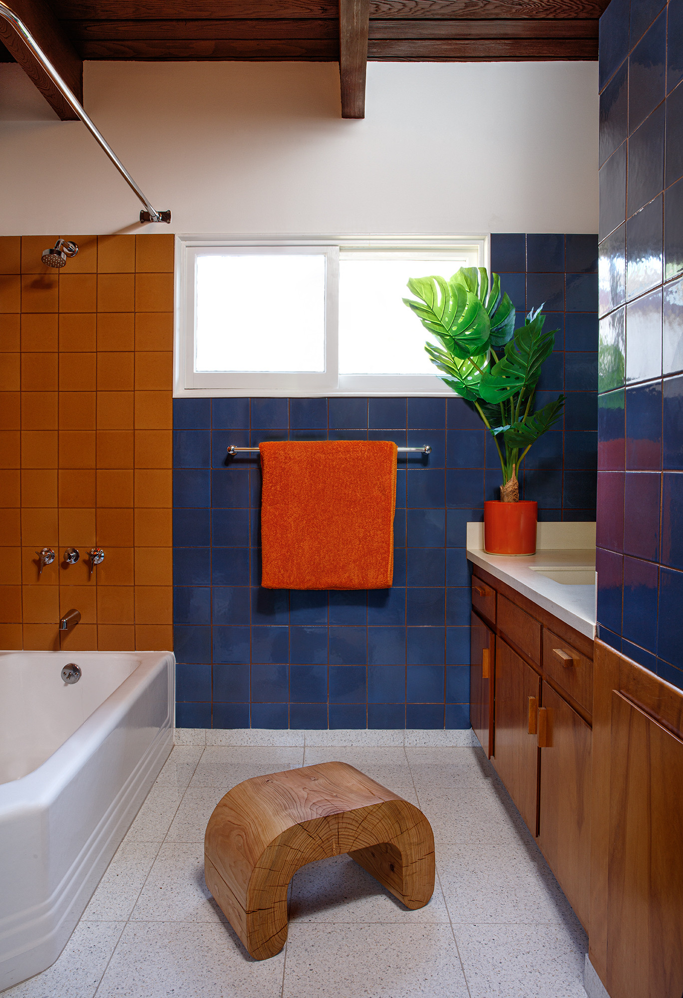 Mid-century Modern Ranch