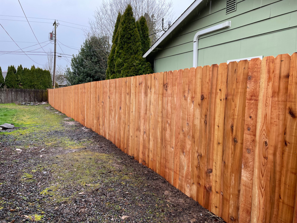 Cedar Fence