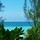 Last commented by Oceanz Azul