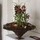 tinna_pedersen