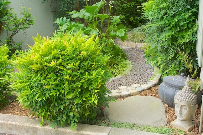 This is an example of a small asian courtyard garden in Portland.