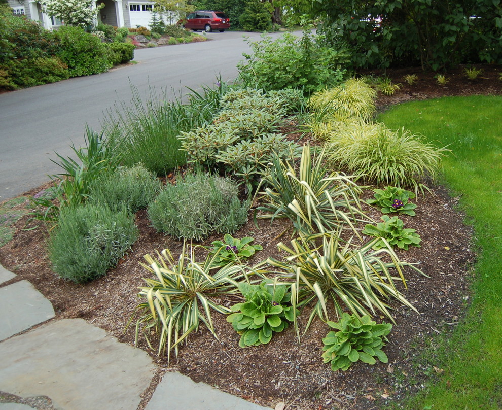 This is an example of a contemporary garden in Seattle.