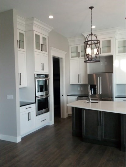 Kitchen - transitional kitchen idea in Cedar Rapids