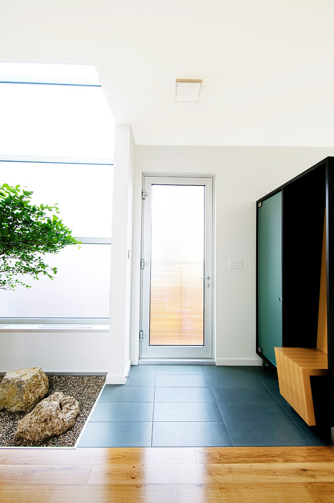 This is an example of a modern entryway in Ottawa.