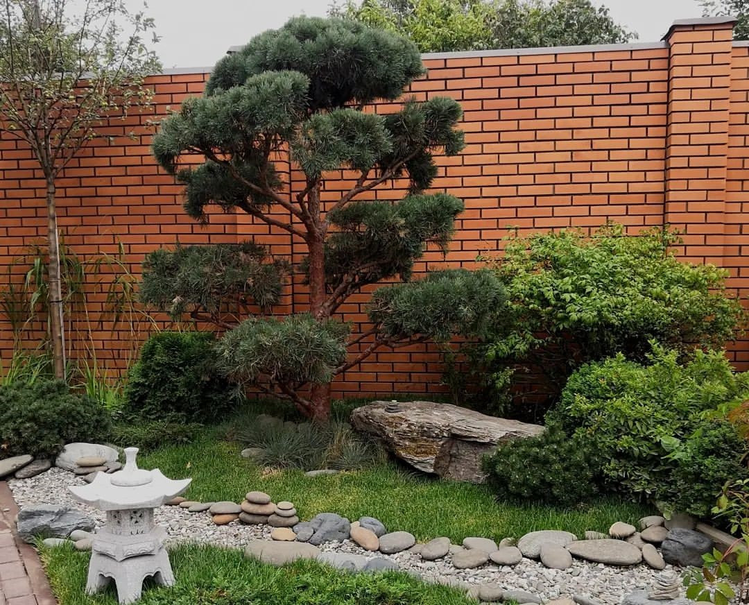 Landscape design of the territory. Japanese style (Moscow region)