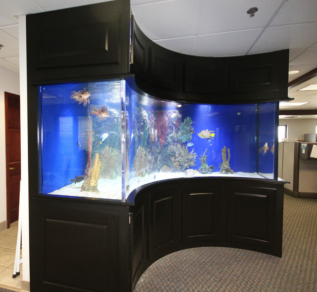 fish tank modern