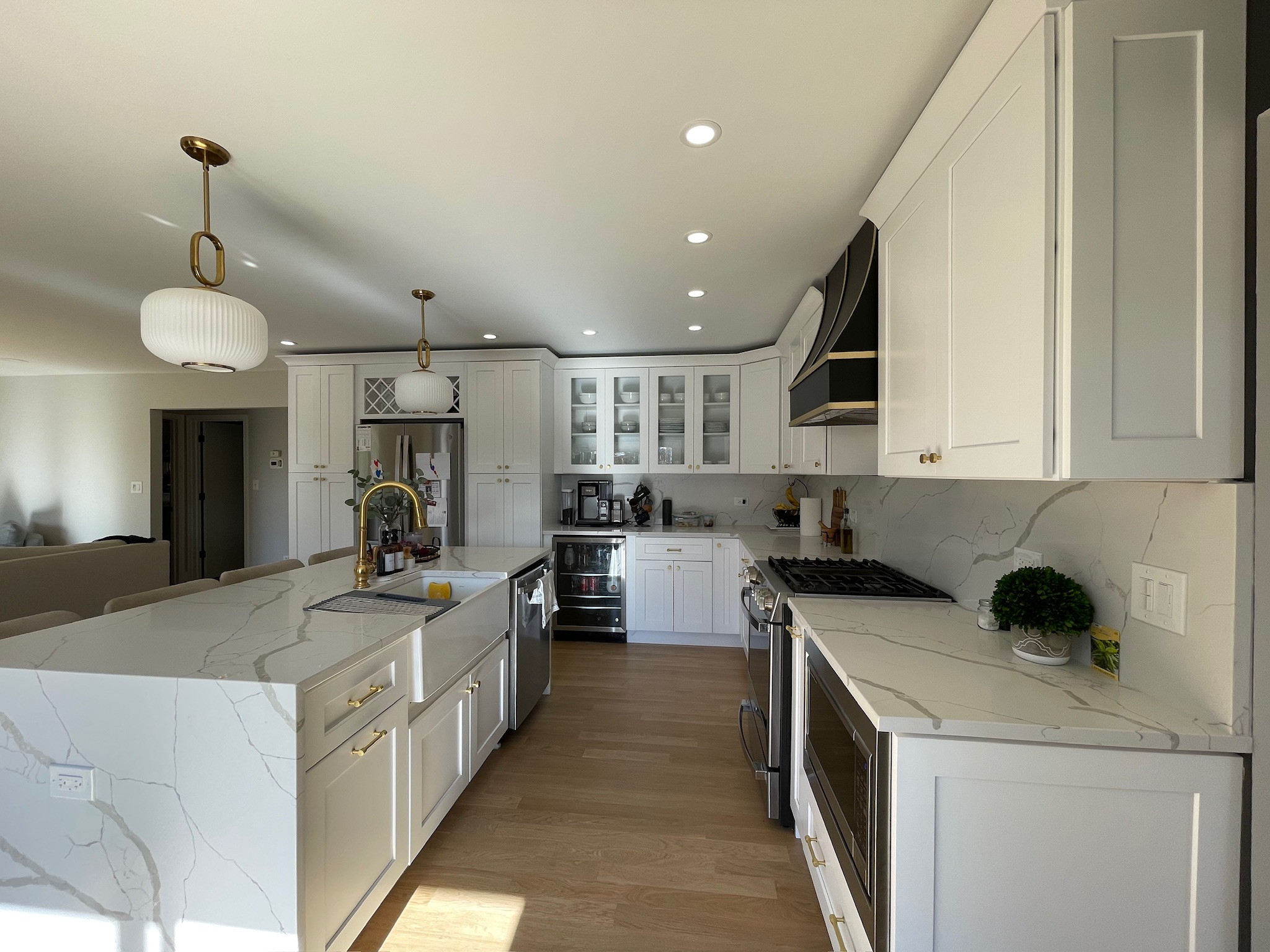 Bucktown full kitchen remodel