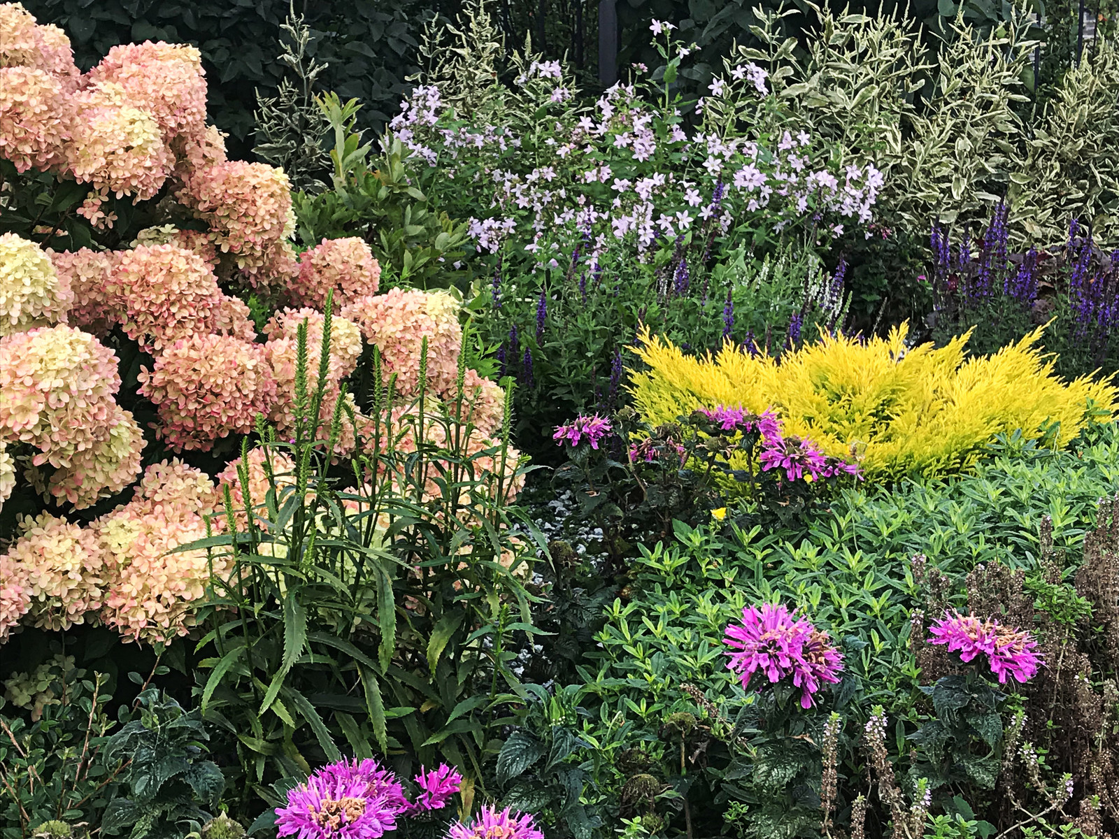 Легкий фьюжн 0.25 га