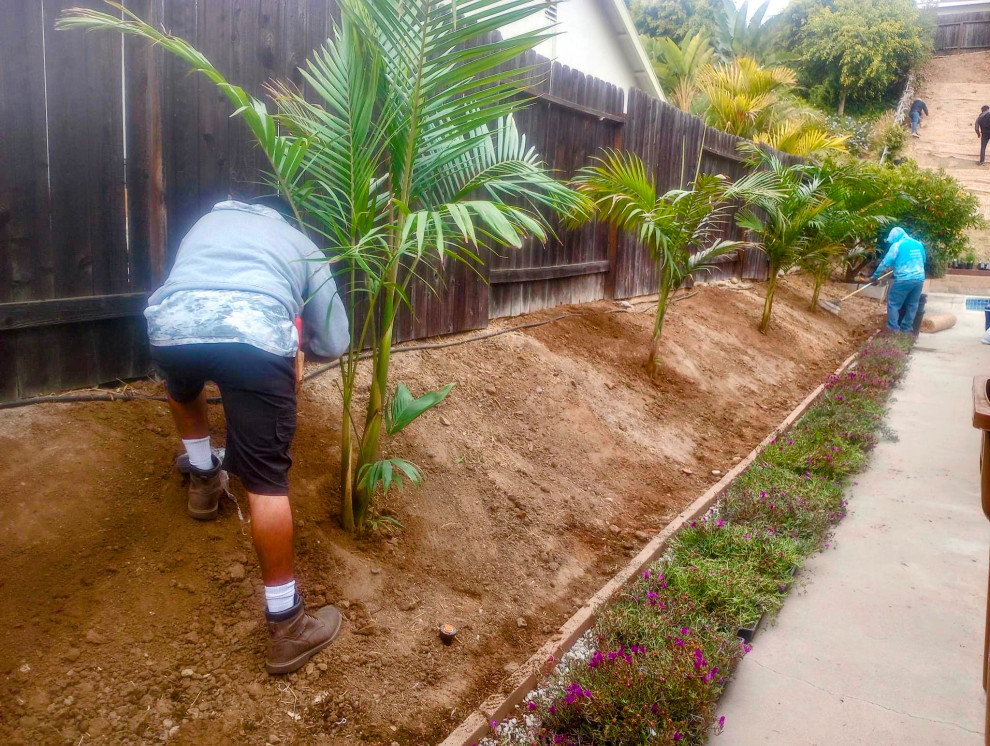 Backyard Renovation