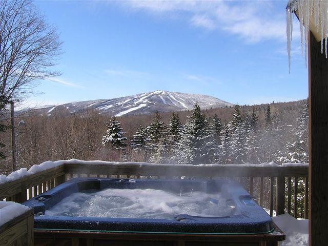 Example of a backyard hot tub design in Denver with decking