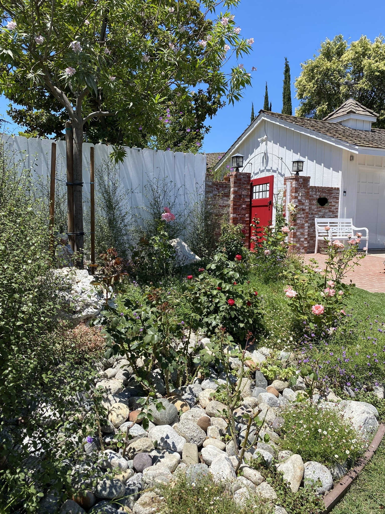 Drought Tolerant Palos Verdes Butterfly Oasis