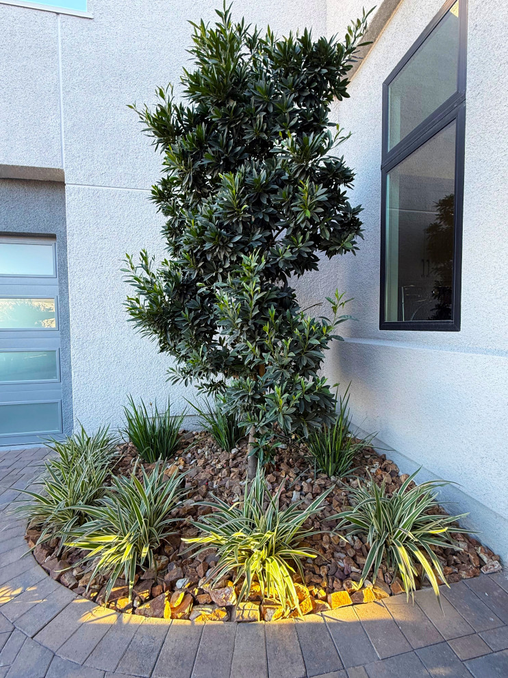 ASCENSION - In Progress