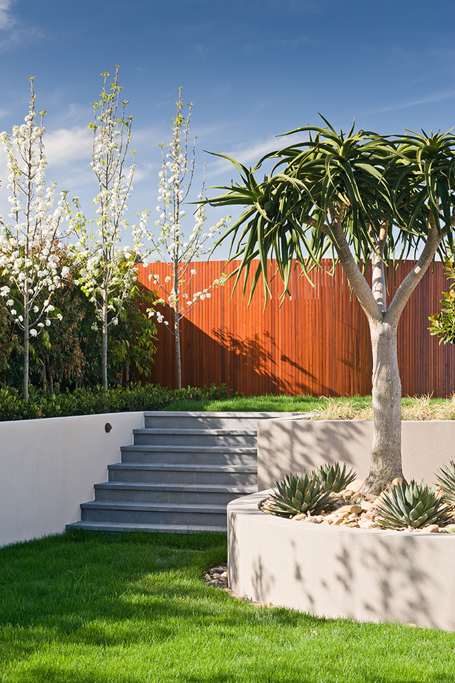 Contemporary garden in Melbourne.