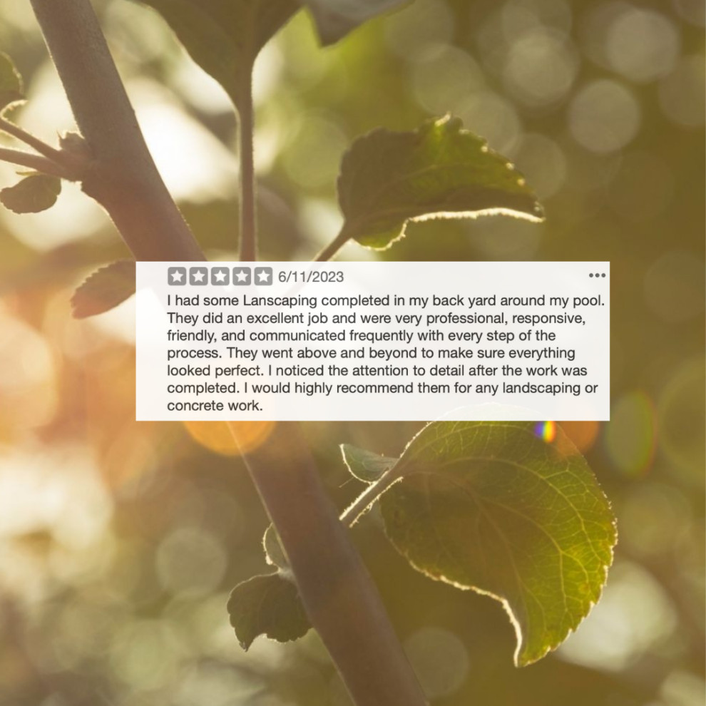 Reviews