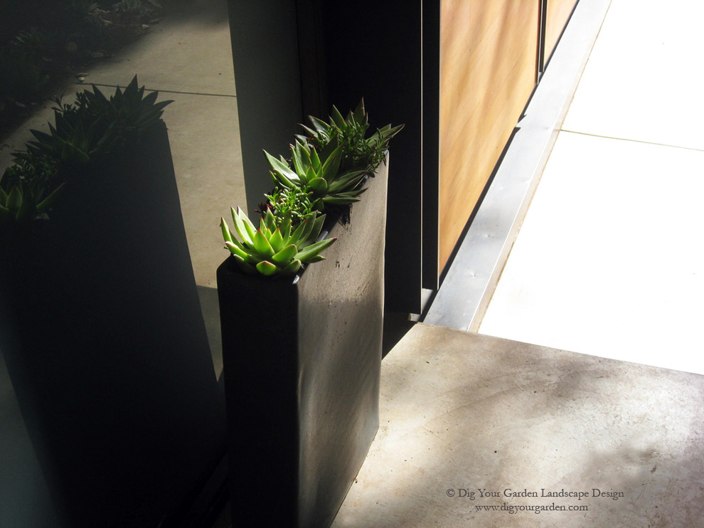 Contemporary shaded garden in San Francisco with a container garden and concrete pavers for summer.