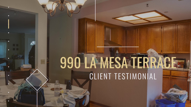 Client Testimonials 