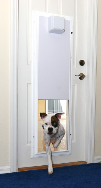 Electronic Pet Door With One-Touch Programming