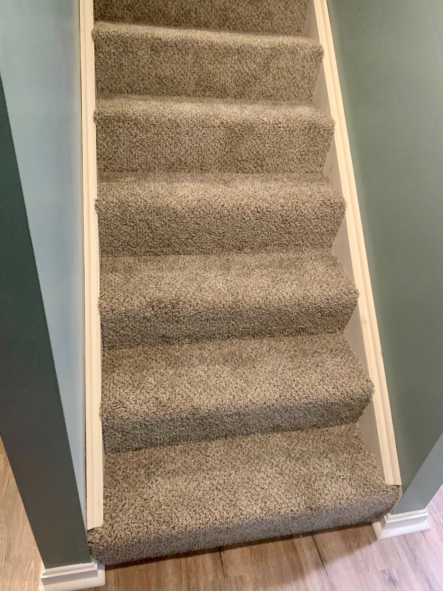 Carpet