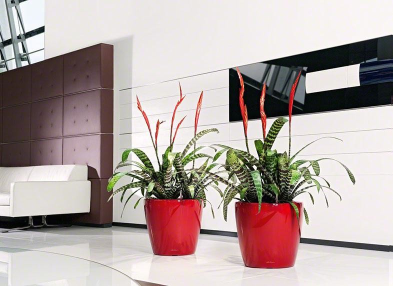 Лучший выбор