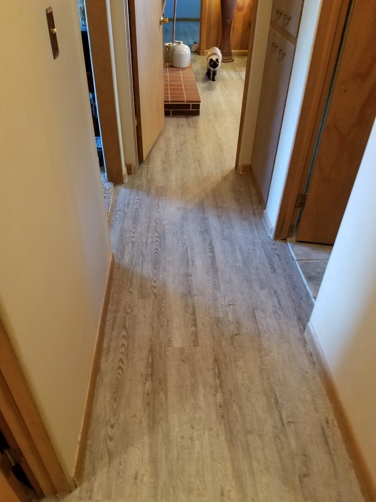 This is an example of a hallway in Other with beige walls and vinyl floors.