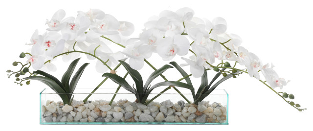 White Orchid with Faux Water & Rocks In Glass Vase - Modern ...