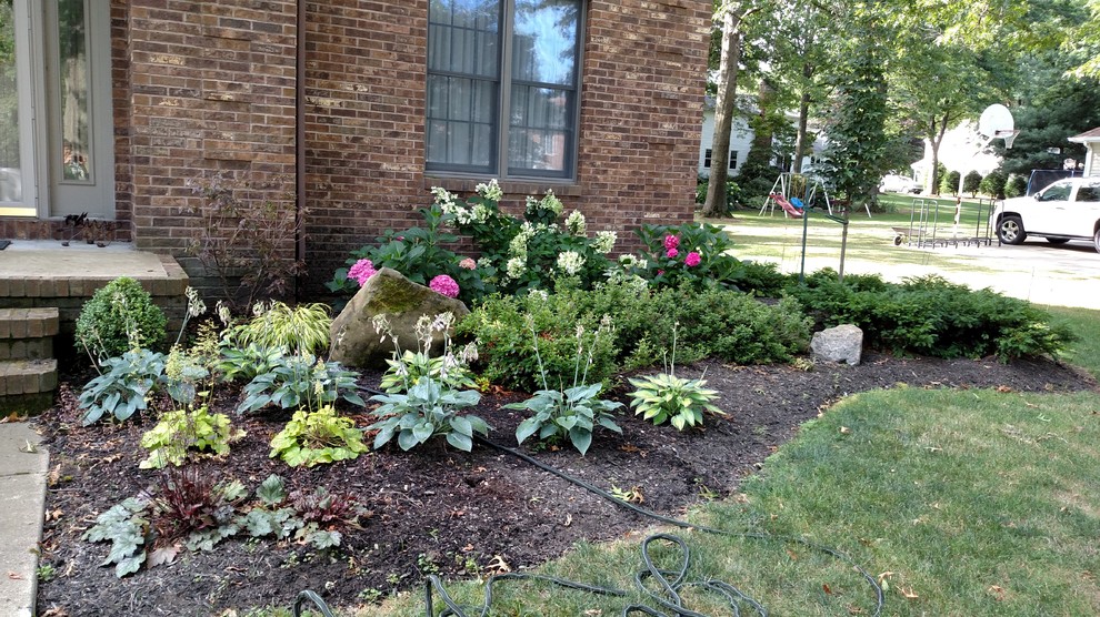 Photo of a mid-sized transitional shade front yard mulch landscaping.