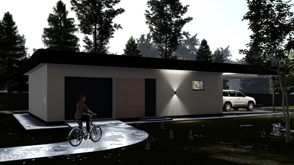 Проект в Шепелево