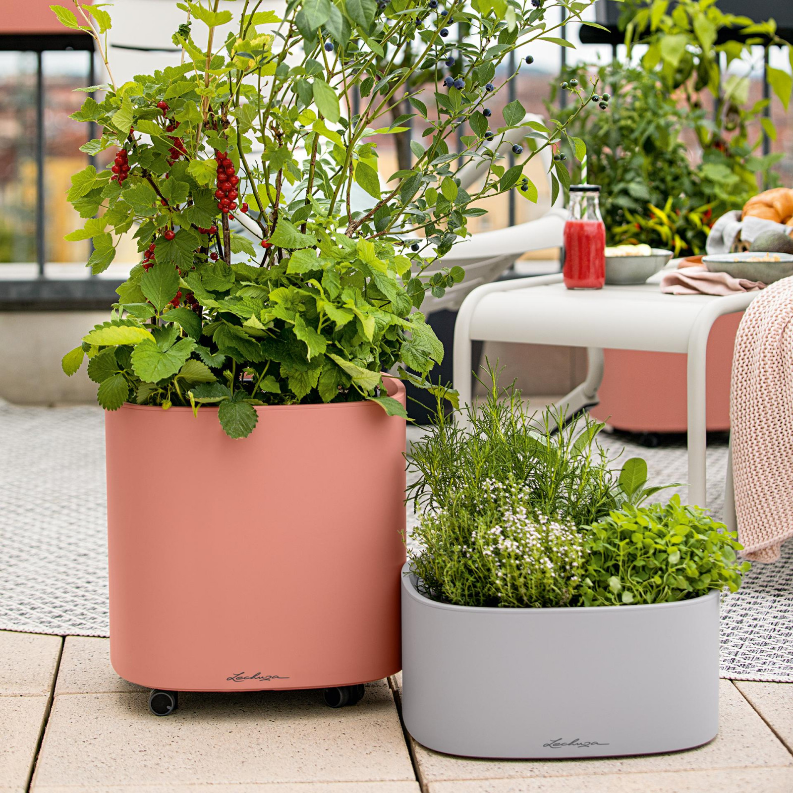 Стильный сад для гурманов