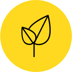 Sustainable home design in Morgantown area