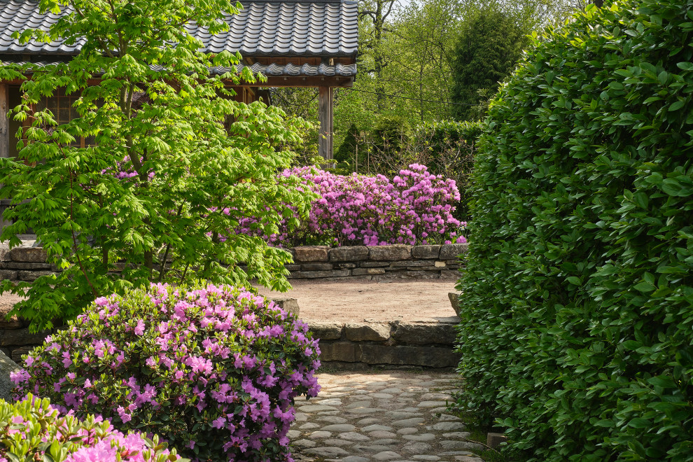 Японский сад в Ботаническом саду БИН РАН, СПб, Петроградка
