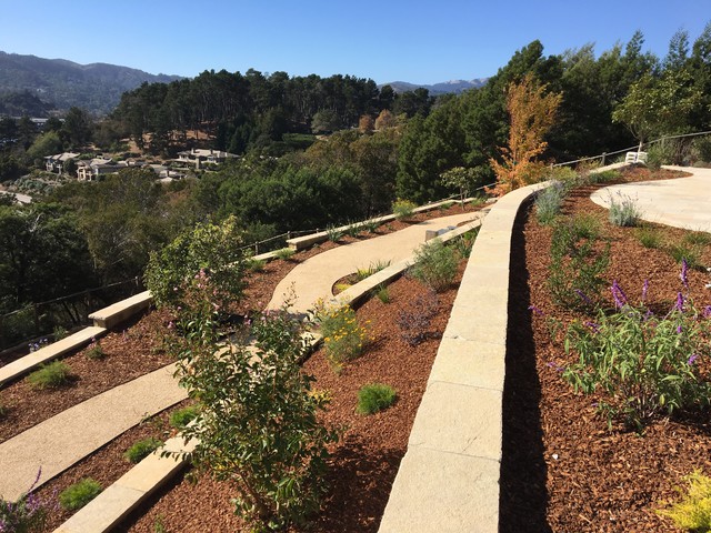 Layered Hillside contemporary-garden