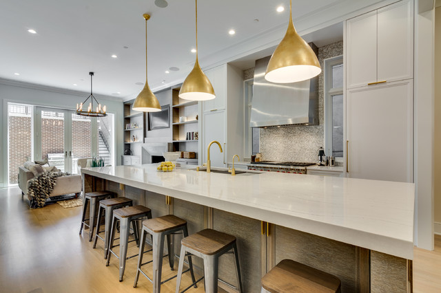 Lincoln Park Custom Home VII trendy-koekken