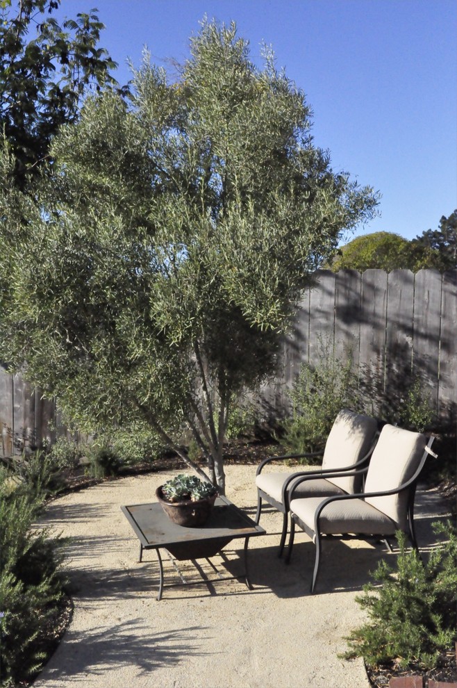 Inspiration for a small contemporary backyard garden in San Luis Obispo.