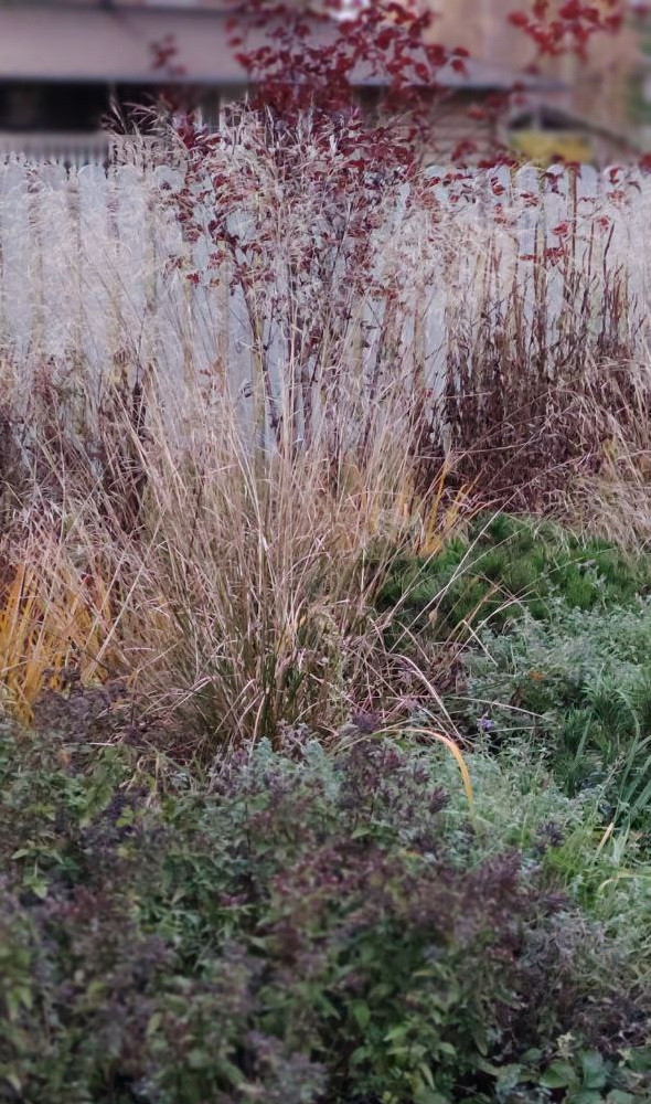 Проект "Волга"