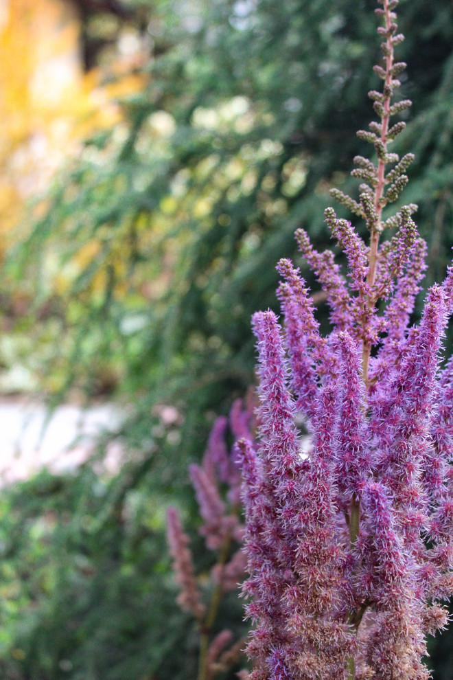 Генеральские дачи